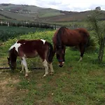 Segesta Antichi Sapori * Calatafimi