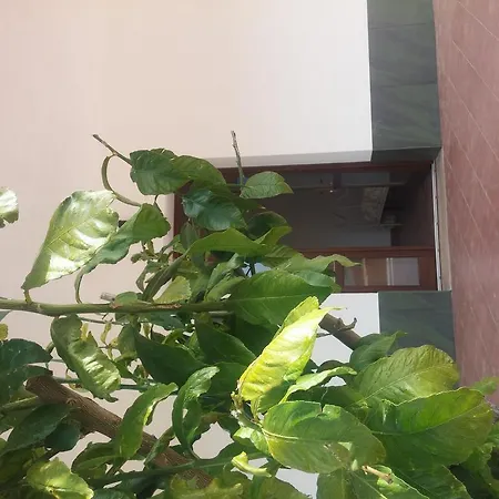 בית חווה Segesta Antichi Sapori קלטפימי